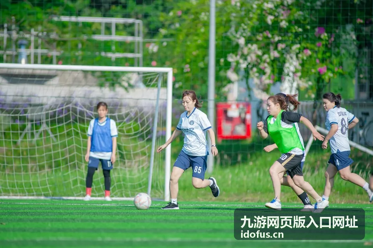 九游网页版入口网址加载异常时的排查顺序示意封面