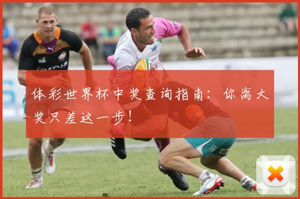 体彩世界杯中奖查询指南：你离大奖只差这一步！