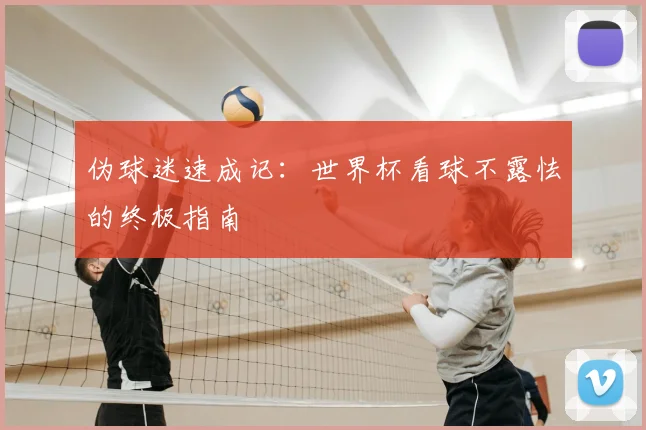 伪球迷速成记:世界杯看球不露怯的终极指南