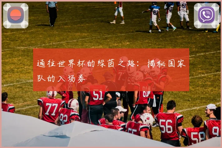 通往世界杯的绿茵之路：揭秘国家队的入场券