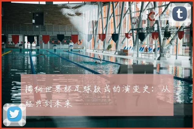 揭秘世界杯足球款式的演变史：从经典到未来