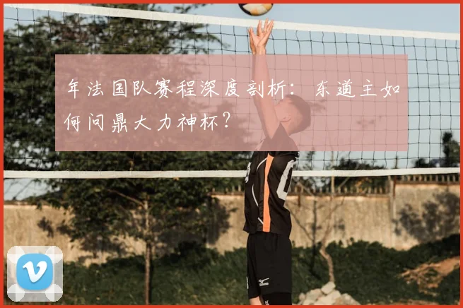 年法国队赛程深度剖析：东道主如何问鼎大力神杯？