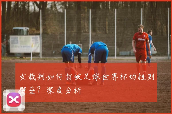 女裁判如何打破足球世界杯的性别壁垒？深度分析