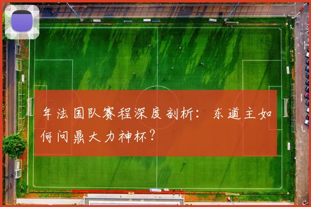 年法国队赛程深度剖析：东道主如何问鼎大力神杯？