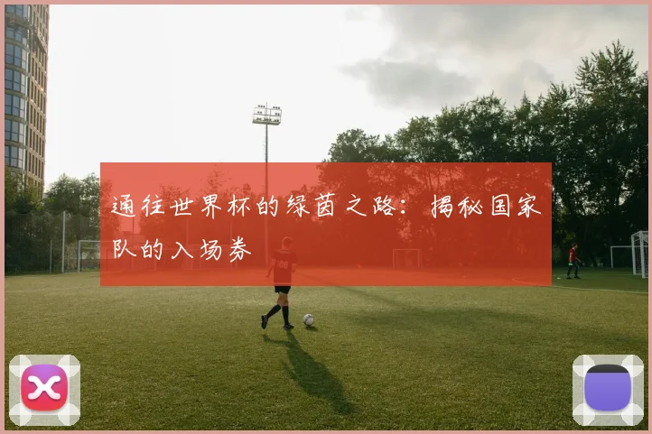 通往世界杯的绿茵之路：揭秘国家队的入场券