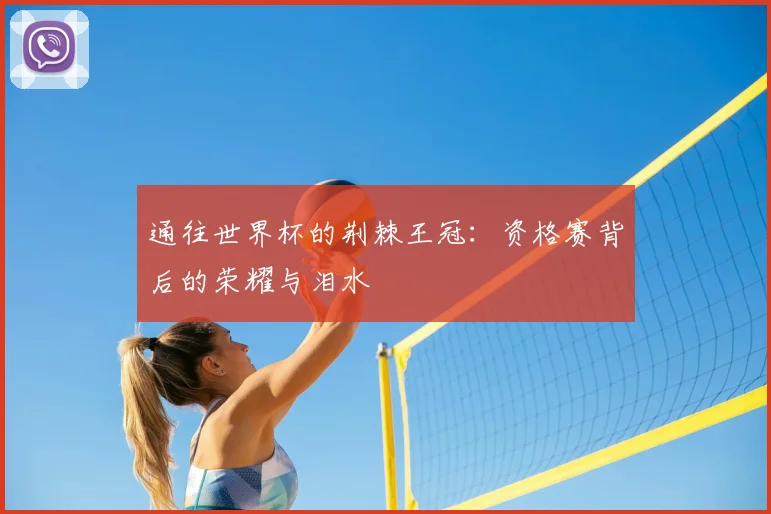 通往世界杯的荆棘王冠：资格赛背后的荣耀与泪水