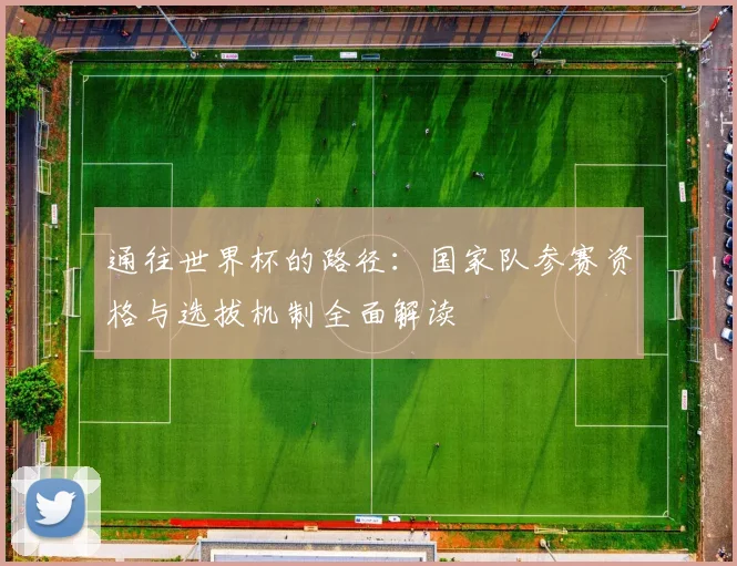 通往世界杯的路径：国家队参赛资格与选拔机制全面解读