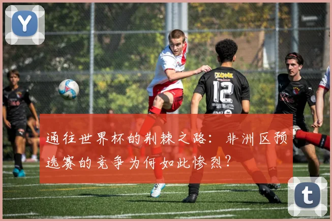 通往世界杯的荆棘之路：非洲区预选赛的竞争为何如此惨烈？
